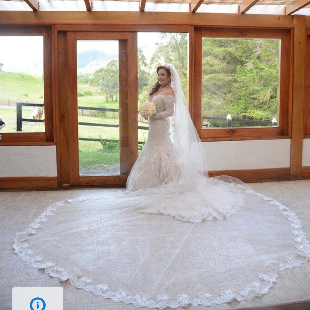 Weddingdresses with veil and everything included